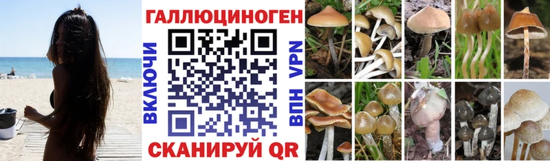 Псилоцибиновые грибы Psilocybine cubensis  наркота  mega маркетплейс  Болгар 