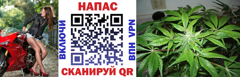 сколько стоит  Болгар  МАРИХУАНА OG Kush 